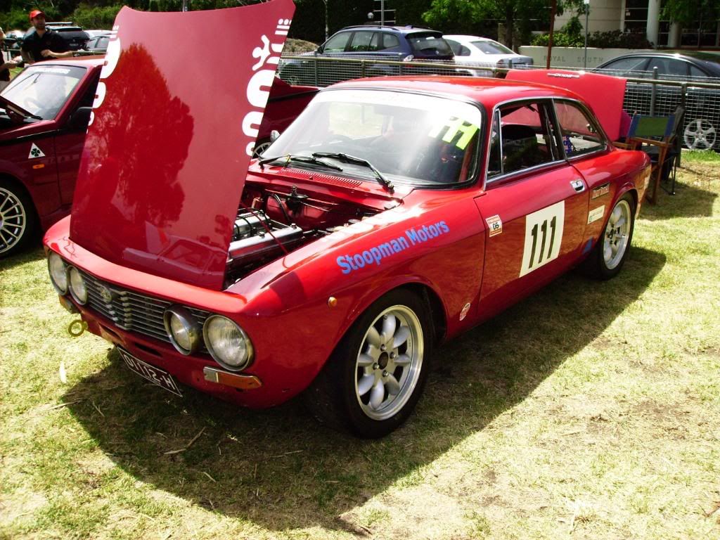 Victoria Alfa Club (Australia) Spettacolo Alfa Romeo Forums